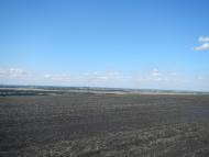 Дніпровка з panoramio.com