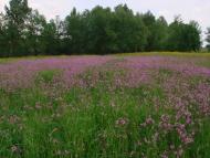 Загорби з panoramio.com