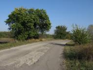 Ясинове з panoramio.com