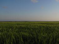 Чоботарка з panoramio.com