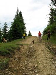 Старий Мізунь з panoramio.com