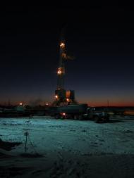 Новожеланное - Последние фото