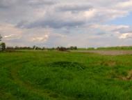 Белаши - Последние фото