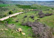 Некрасовка з panoramio.com