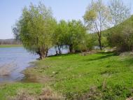 Оксанівка з panoramio.com