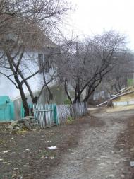 Чернівці з panoramio.com