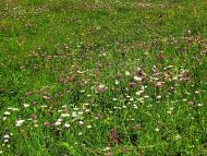 Дубровиця з panoramio.com