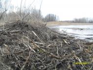 Ковалин з panoramio.com