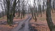 Никонорівка з panoramio.com