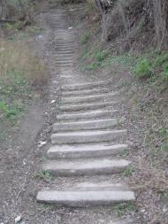 Чернівці з panoramio.com