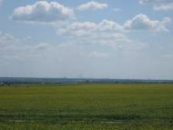 Лозуватка з panoramio.com