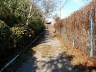 Бджільна з panoramio.com