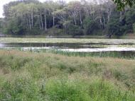 Кримське з panoramio.com