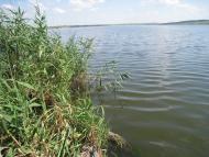 Новий Світ з panoramio.com
