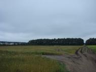 Агрономічне з panoramio.com