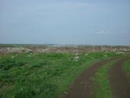 Доброжанове з panoramio.com