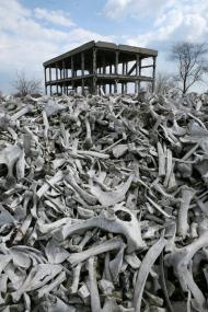 Арциз з panoramio.com