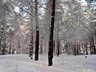 Хорошеве з panoramio.com