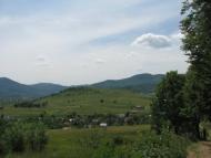 Старий Мізунь з panoramio.com