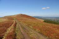 Буковець з panoramio.com