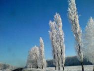 Бурдюг з panoramio.com