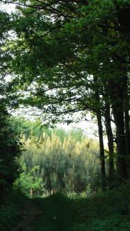 Колониці з panoramio.com