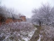 Хорошеве з panoramio.com