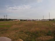 Усатове з panoramio.com