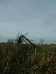 Березань з panoramio.com