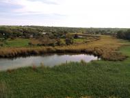 Сурсько-Клевцеве з panoramio.com