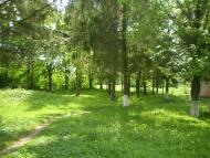 Дерно з panoramio.com