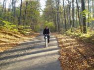 Верещиця з panoramio.com