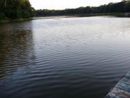 Сокільники з panoramio.com