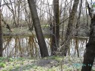 Федорівка з panoramio.com