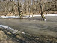 Кочережки з panoramio.com