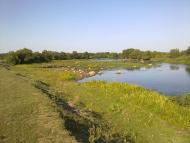 Дубинове з panoramio.com