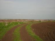 Доброжанове з panoramio.com