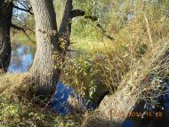 Думанці з panoramio.com