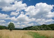 Добра Надія з panoramio.com