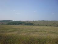 Липове з panoramio.com