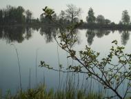 Пугач з panoramio.com