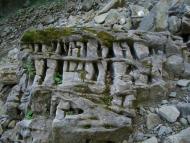 Пасічна з panoramio.com