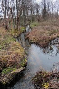 Хочева з panoramio.com