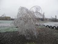 Тавричанка з panoramio.com