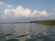 Кардашинка з panoramio.com