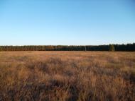 Ялцівка з panoramio.com