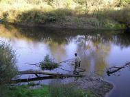 Підлісне з panoramio.com