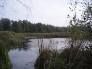 Ковалин з panoramio.com