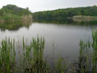 Старовишневецьке з panoramio.com