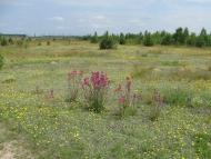 Ражнів з panoramio.com